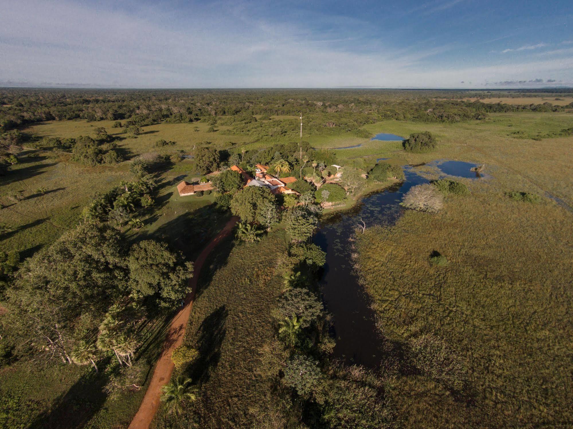 Pousada Araras Pantanal Eco Lodge Carvoalzinho Exterior foto